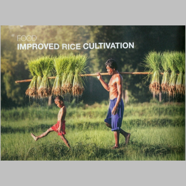 rice.jpg