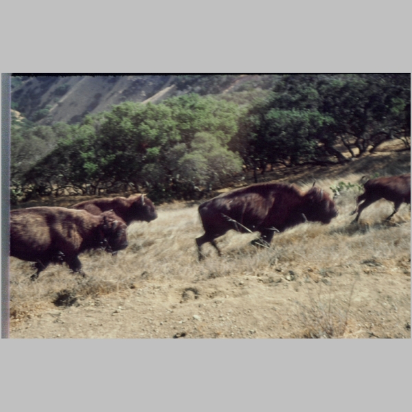 1988-09A-24.jpg