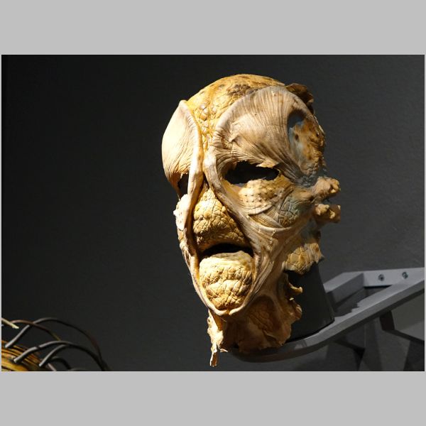 20161006-006.JPG