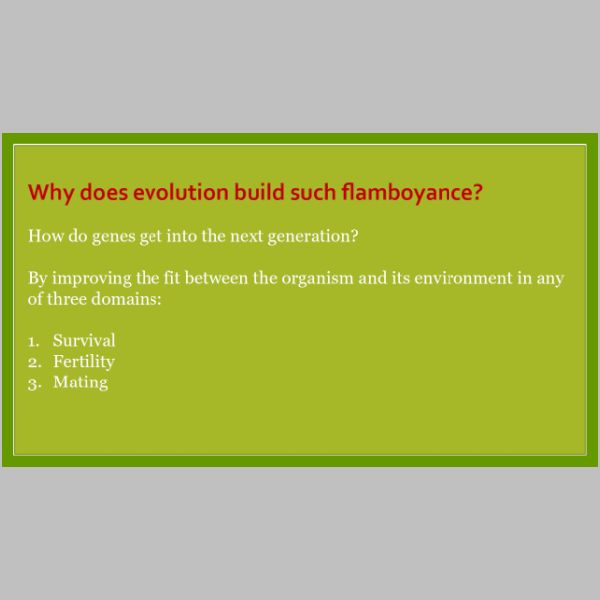 slide-07.jpg