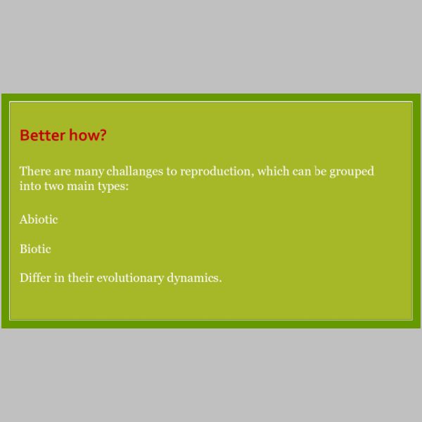 slide-36.jpg