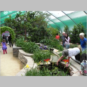 2011-0713-044.JPG