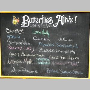 2011-0713-156.JPG