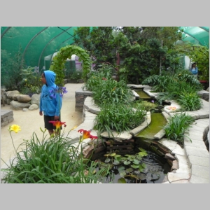 2011-0713-158.JPG