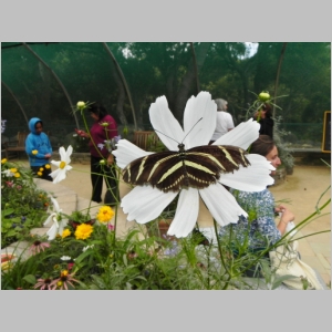 2011-0713-198.JPG