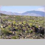 Leaving Death Valley