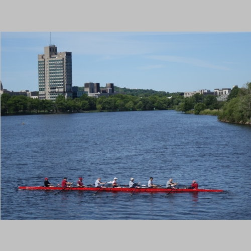 20150607-2585.JPG