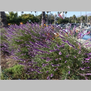20141011-209.JPG