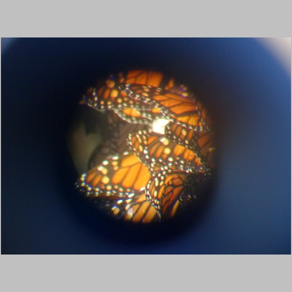 20181227-819.JPG