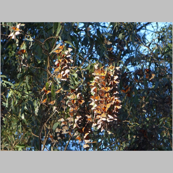 20181227-823.JPG