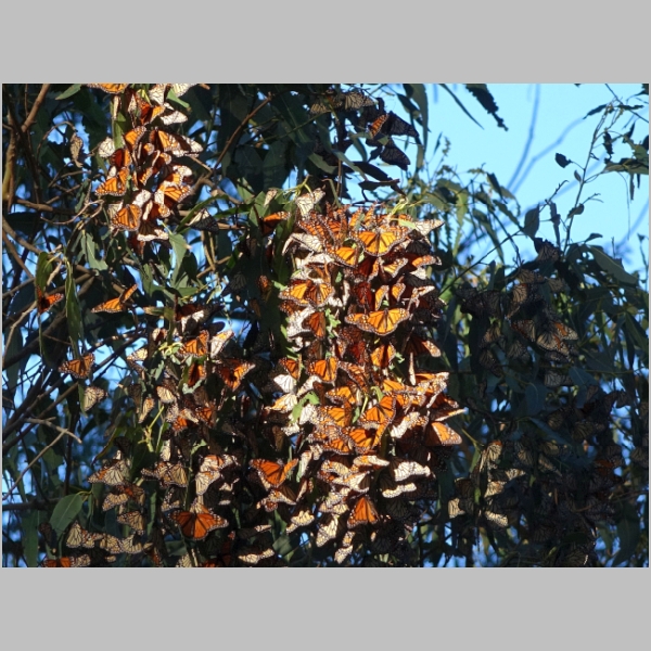 20181227-826.JPG