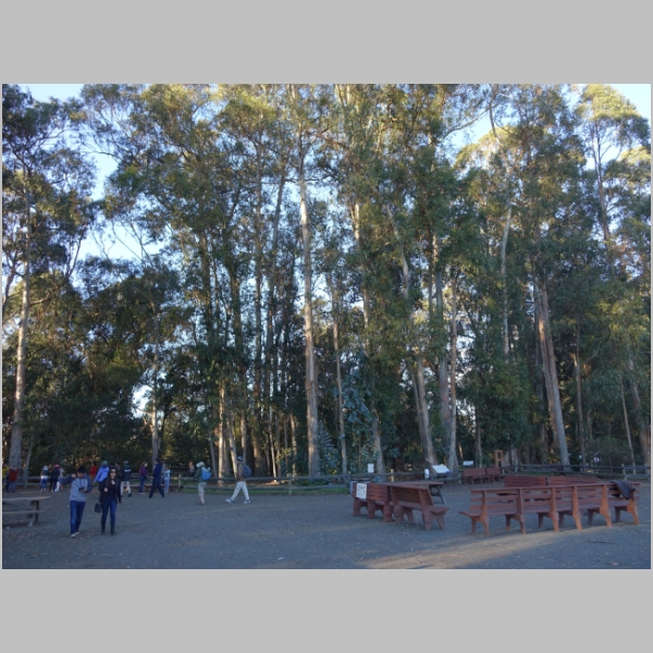20181227-860.JPG