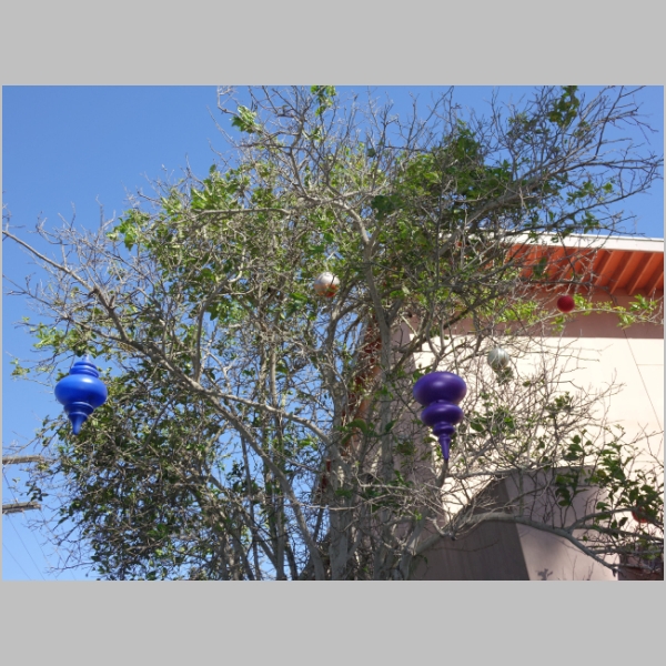 20170331-025.JPG