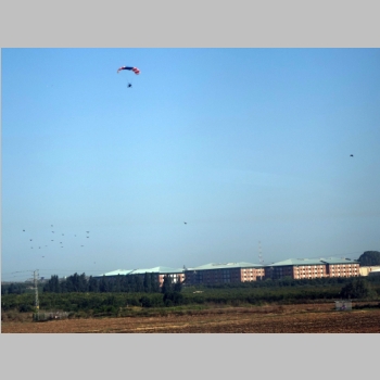 20150724-012.JPG