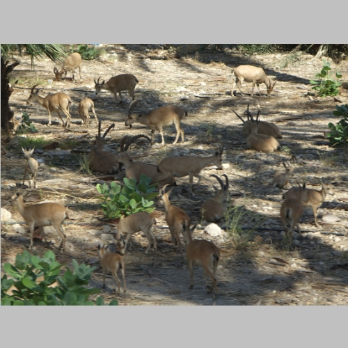 20150716-0947.JPG