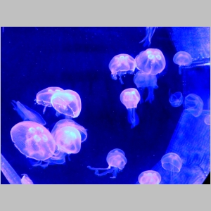 2012-0325-006.JPG