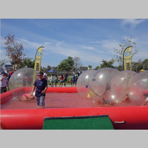 20150927-036.JPG