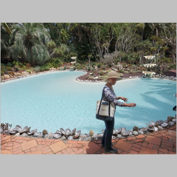 Abalone Shell Pool