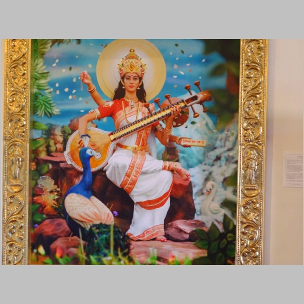 Art Exhibit