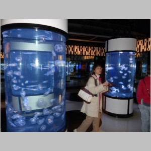 20131222-207.JPG