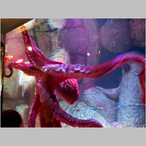20131222-284.JPG