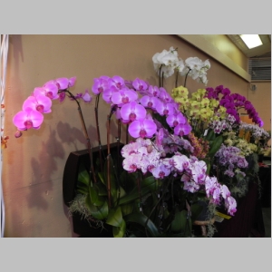 2011-0312-211.JPG