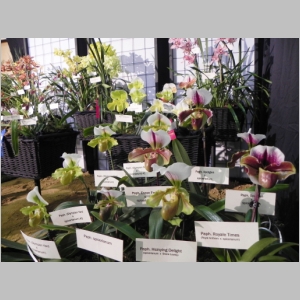 2011-0312-251.JPG