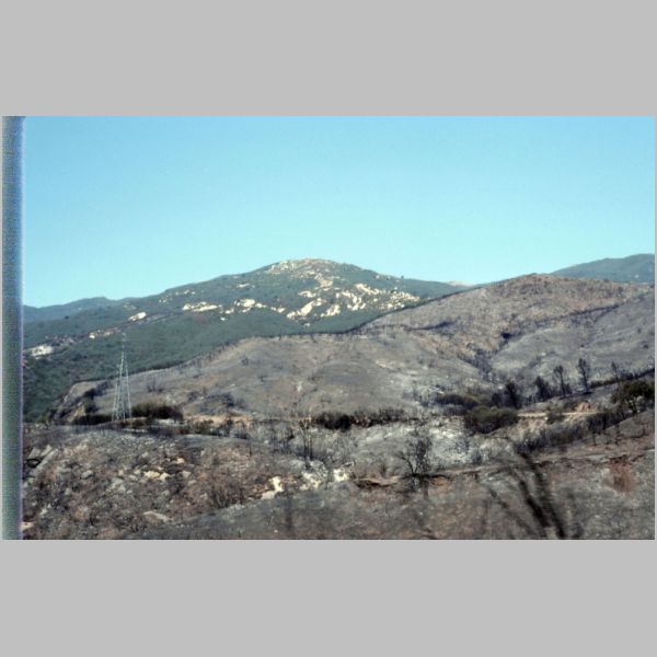 1990-08-02.jpg