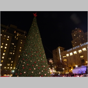 20131129-249.JPG