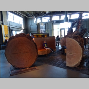 20131130-543.JPG