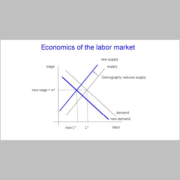 slide-06.png