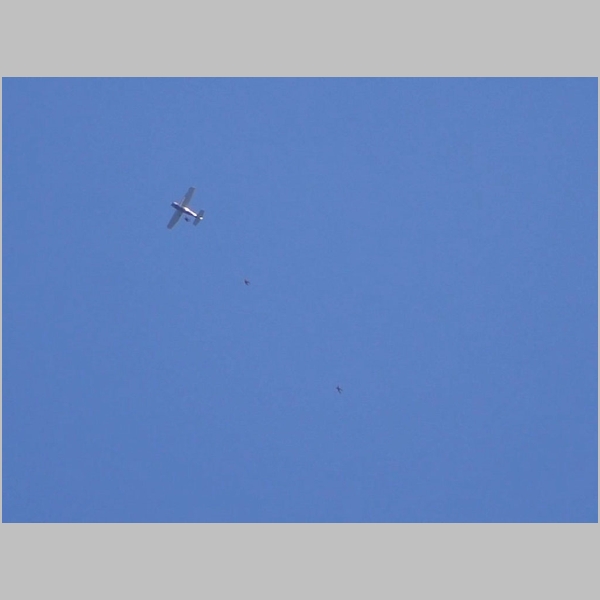 20181110-184-Parachute-048.jpg
