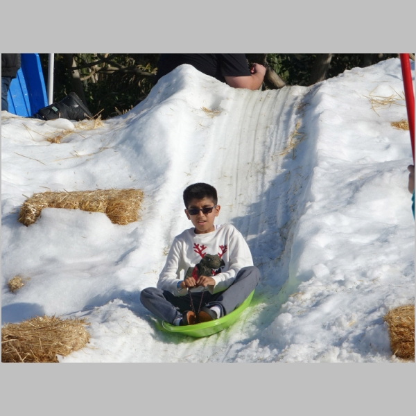 20171203-126.JPG