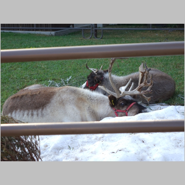 20171203-257.JPG