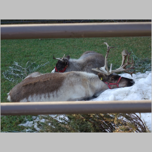 20171203-260.JPG
