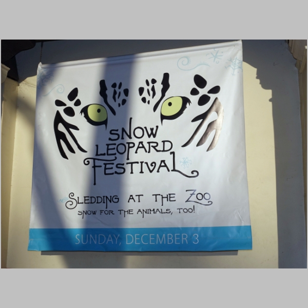 20171203-315.JPG