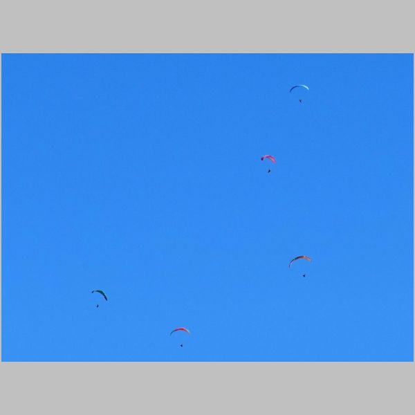 20210101-088-P.JPG