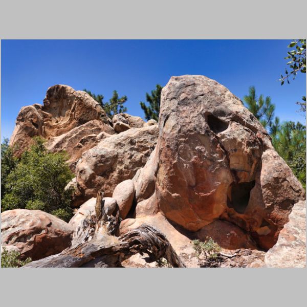 20240727-121-P.jpg