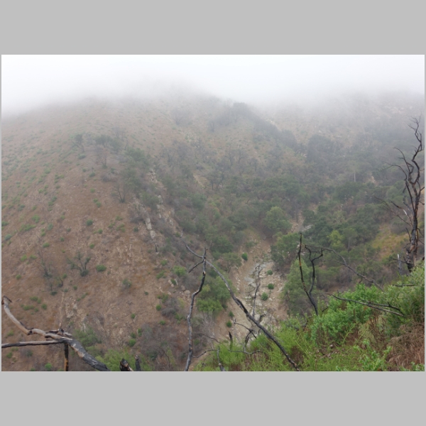Main Cold Spring Trail - Descent