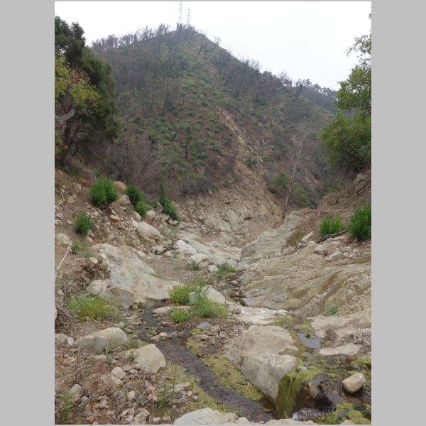 Lower Cold Spring Destruction