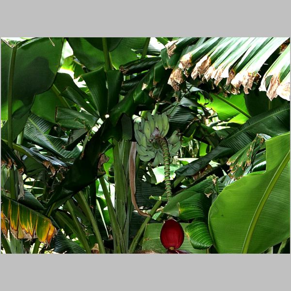 20161027-001.JPG