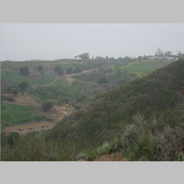 20160320-218.JPG