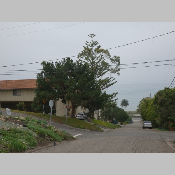 20160320-249.JPG