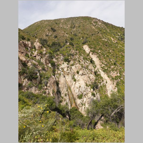 Tangerine Falls Area/Bushwhacking
