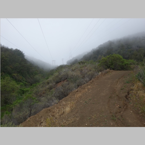 20150613-061.JPG