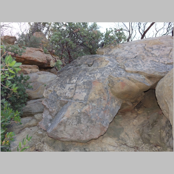 20181028-253.jpg