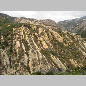 2011-0514-009.JPG
