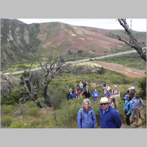 2011-0514-026.JPG