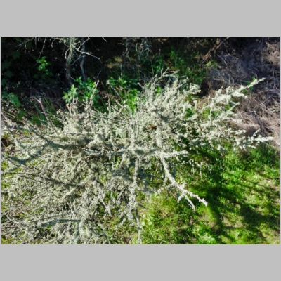 20190223-129.JPG