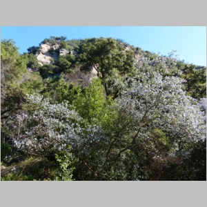 20130223-016.JPG